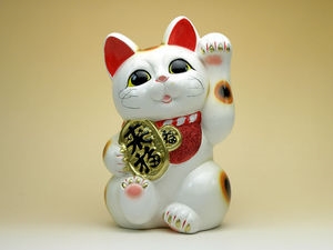 招木 猫