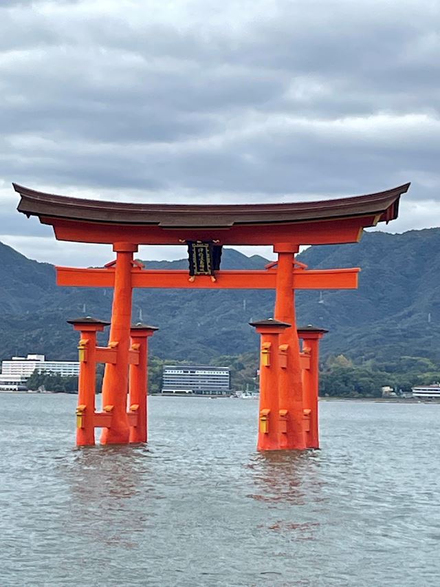 体験談画像