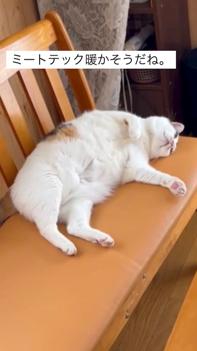体験談画像