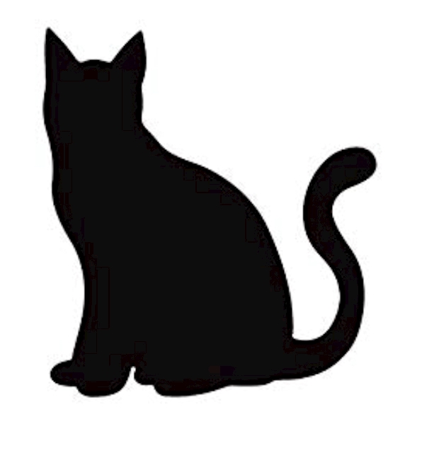 白黒猫