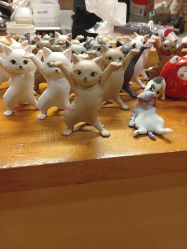 体験談画像