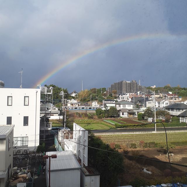 体験談画像