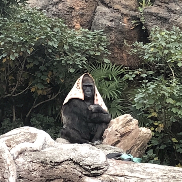 ボーイング