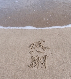 ひかり(*´∇｀*)