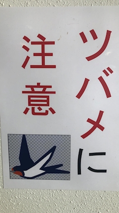 ツバメ