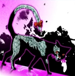 尾も白い黒猫
