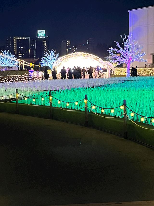 体験談画像