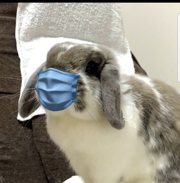 あき