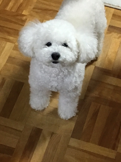 れおんくん