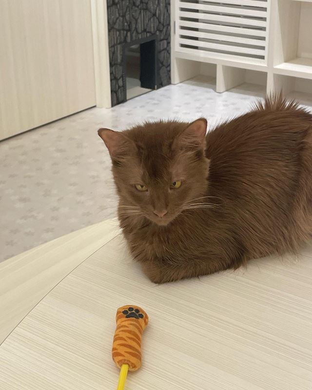 体験談画像