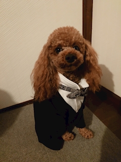 口コミ E.I