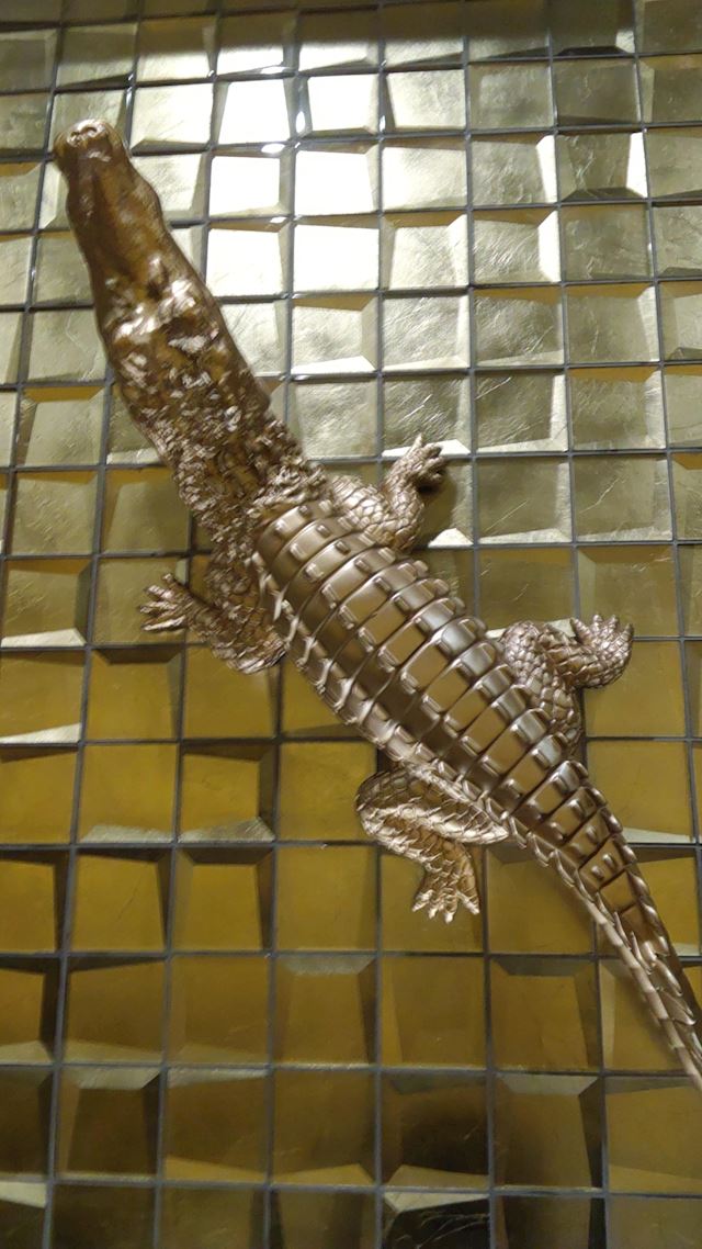 体験談画像