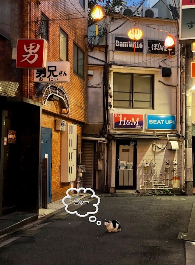 体験談画像