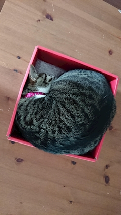 にんげんだもの