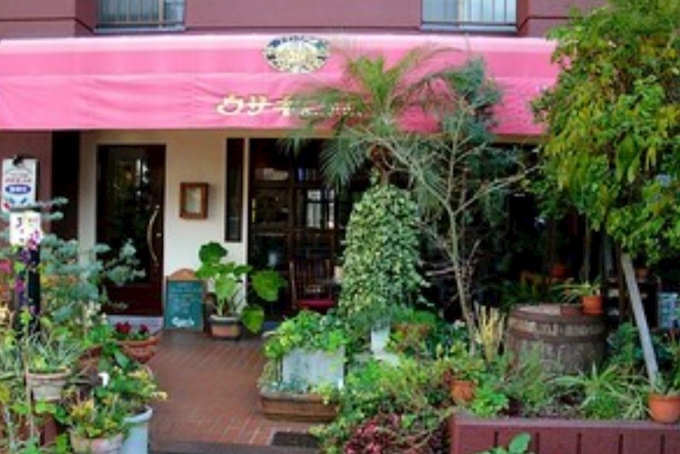 ウサギ かめ ｳｻｷﾞﾄｶﾒ その他 ポケパラplus