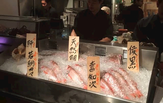 リーズナブルで美味しいお魚食べるならココ 魚真 恵比寿店 うおしん 恵比寿 居酒屋 ポケパラplus