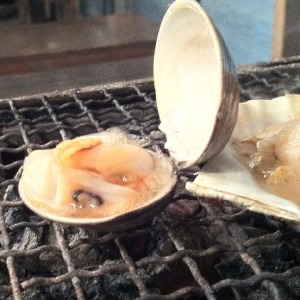 街中で船釣り ざうお 天神店 居酒屋 ポケパラplus 街中で船釣り ざうお 天神店 居酒屋 ポケパラplus
