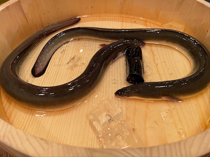 鰻らんち にょろ助 仙台国分町店 その他 ポケパラplus 鰻らんち にょろ助 仙台国分町店 その他 ポケパラplus