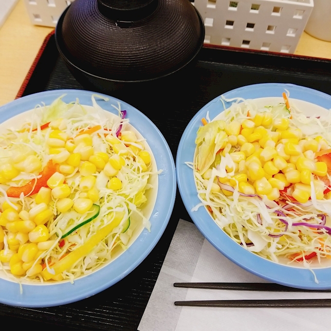 生野菜だけ 食べに行きました 松屋 京王八王子店 八王子 その他 ポケパラplus