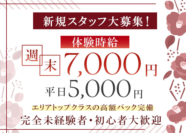 小山・東口キャバクラ・LOUNGE 椿の求人