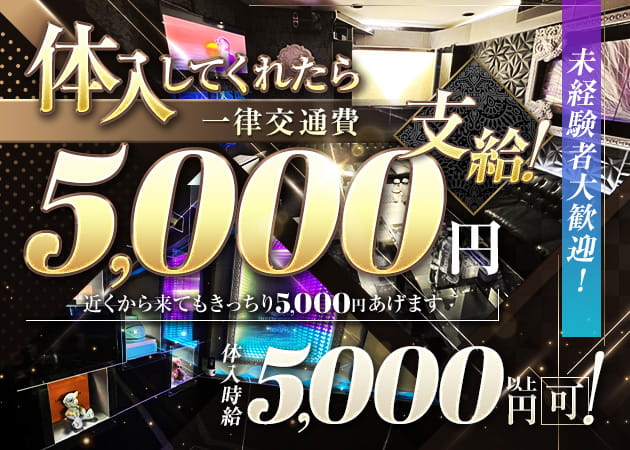 New Club Baby Girl’s 職種：フロアレディ