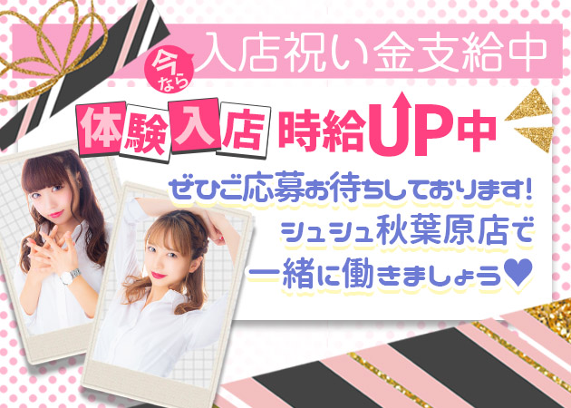 Chou Chou akihabara・シュシュ秋葉原店 職種：フロアレディ