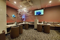 CLUB AMOUR・アムール - 蒲田西口のキャバクラ 店舗写真