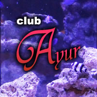 近くの店舗 club Ayur