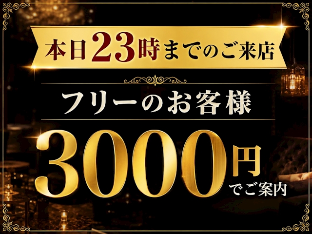 ピックアップニュース ✨本日限定のお得なご案内✨