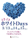 ピックアップニュース 🩵どきどき🩵ホワイトDay
