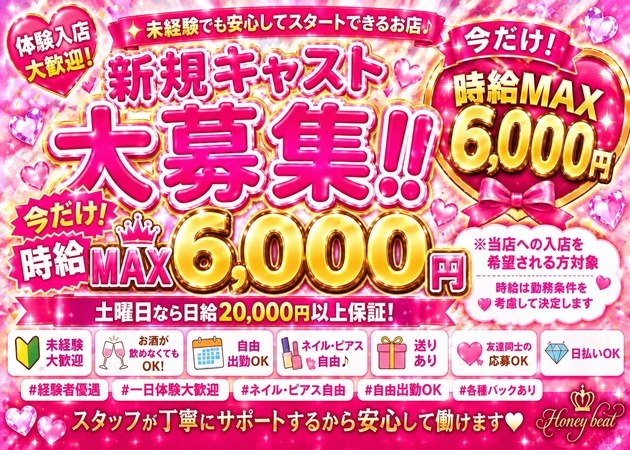豊田ガールズバー・Honey Beatの求人