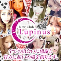 New Club Lupinus