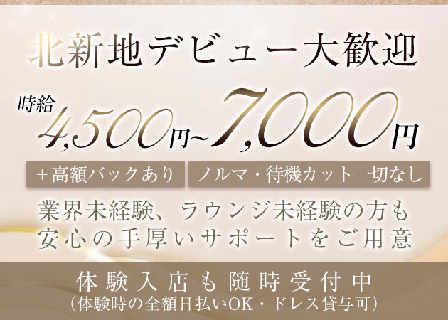 北新地 ラウンジ・のえる山咲の求人