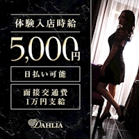 店舗写真 DAHLIA・ダリア - 尾張 一宮のキャバクラ