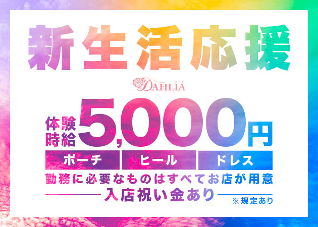 DAHLIA 職種:フロアレディ