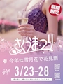 ピックアップニュース 3/23～28は🌸さくらまつり🌸店内でお花見気分をご堪能下さい
