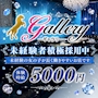 ピックアップニュース 【Galleryで一緒に働きませんか？👗】