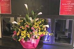 CLUB Dea・デア - 秋田市・川反のキャバクラ 店舗写真