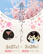 ピックアップニュース お花見イベント🌸