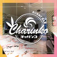 店舗写真 BUNNY BAR CHARINKO 松阪・チャリンコ マツサカ - 三重 松阪のガールズバー