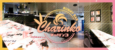 BUNNY BAR CHARINKO 松阪・チャリンコ マツサカ - 三重 松阪のガールズバー