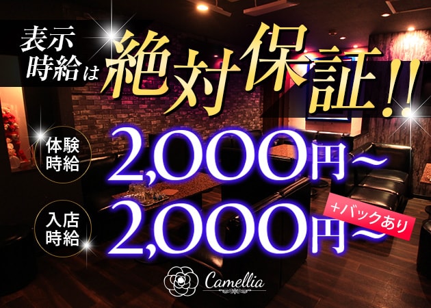 Camellia 職種:フロアレディ