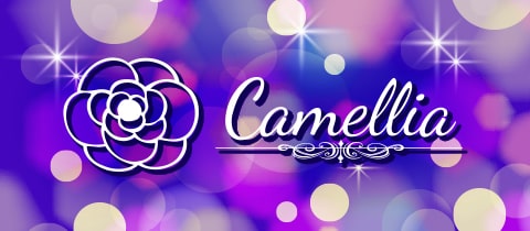 Camellia・カメリア - ミナミのラウンジ/クラブ