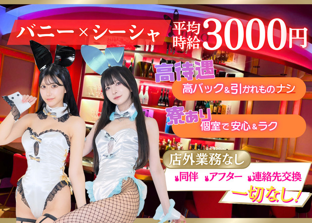 秋葉原コンカフェ・Bunny's Guildの求人