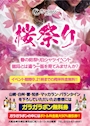 ピックアップニュース 春の桜祭り🤍