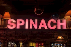 Spinach・スピナッチ - 静岡 常磐町のガールズバー 店舗写真