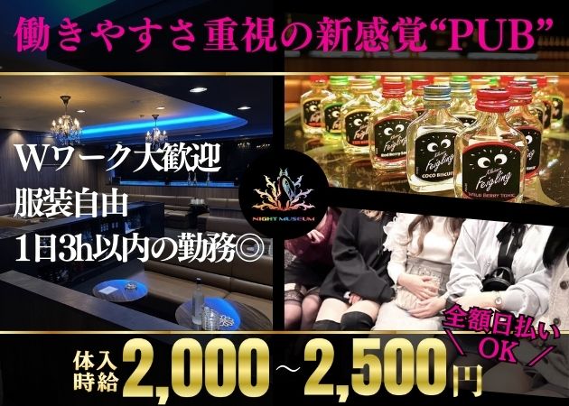 伊那スナック・NIGHT MUSEUMの求人