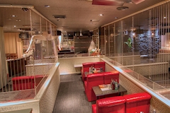 Club 星華・セイカ - 岡山市（中央町）のキャバクラ 店舗写真