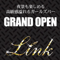 Link