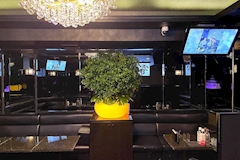 雫・シズク - 池袋西口のクラブ/ラウンジ 店舗写真